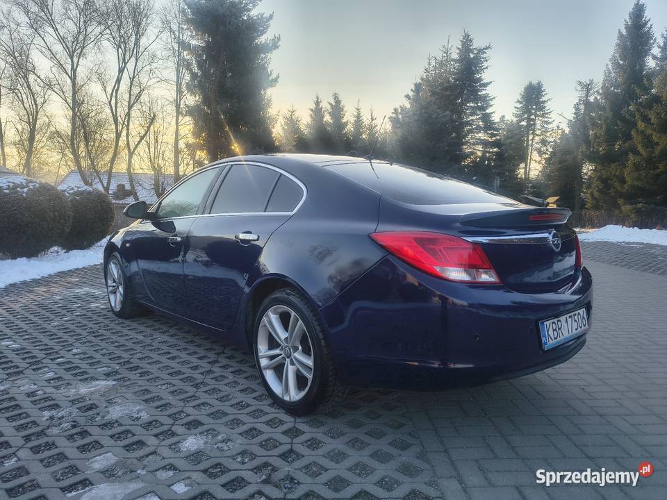 Opel Insignia 20CDTI 2009 Super stan Bistuszowa