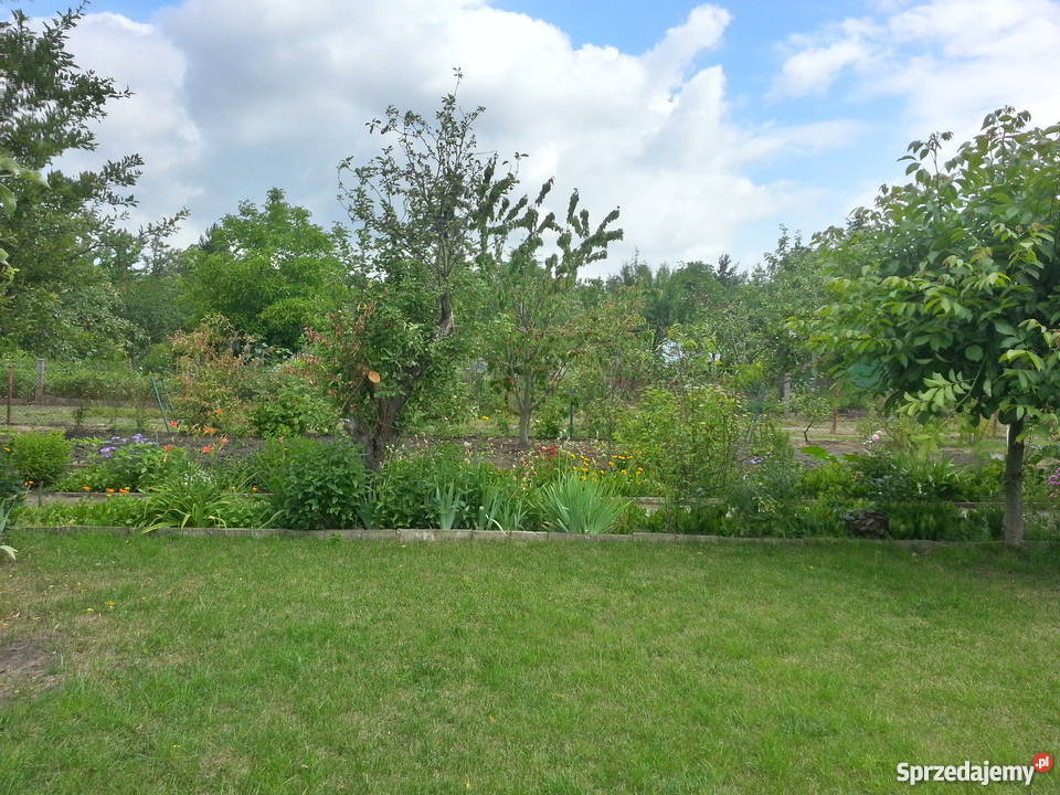 Działka rekreacyjna ogródek działkowy Wrocław Wrocław