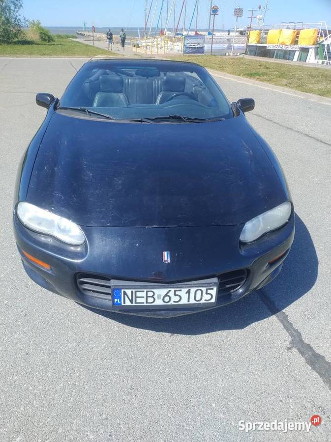 Chevrolet Camaro IV Convertible 2001r 38 V6 1 Wł Zarejestrowany w Polsce Motoryzacja Elbląg