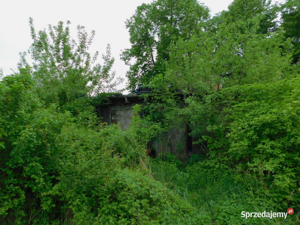 Syndyk sprzeda Grabów Wisłą mazowieckie Grabów nad Wisłą