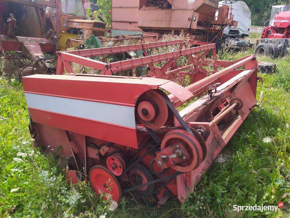 Massey Ferguson 307 z sieczkarnia Dragany