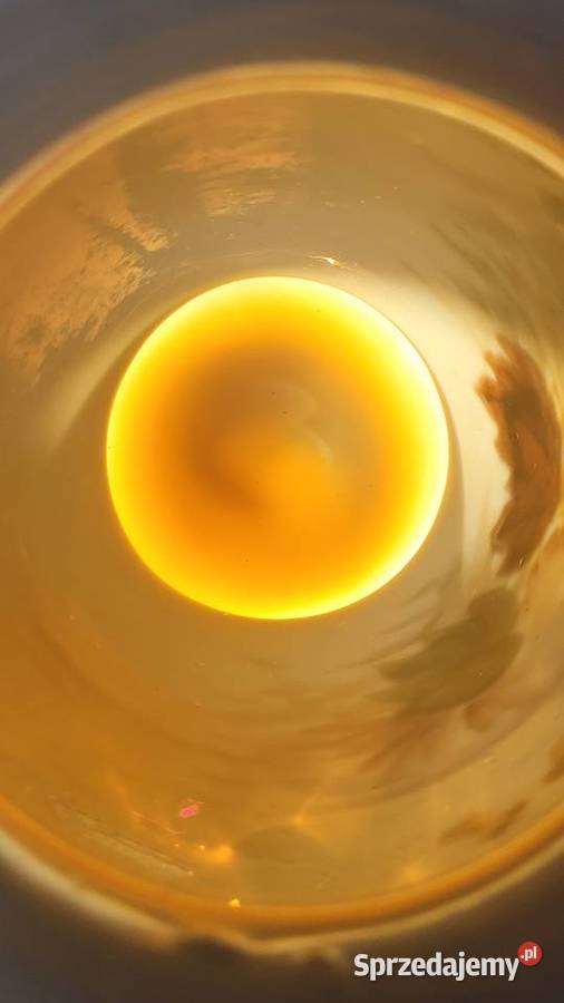 Secesyjny ręcznie malowany emalią opakowy wazon Kraków