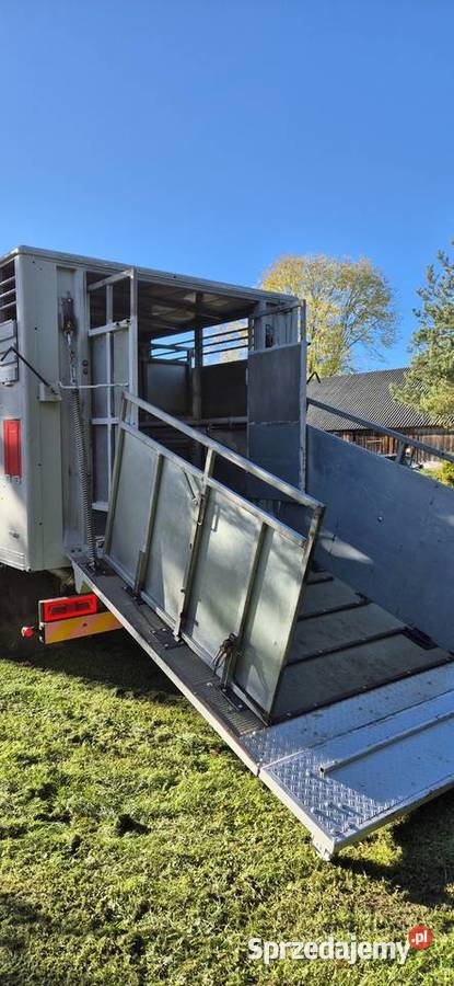 Man 12192 do przewozu bydła zwierząt żywca koni 4900kg Suwałki
