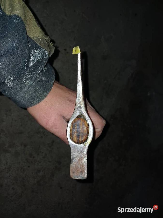 Toporek ciesielski stary