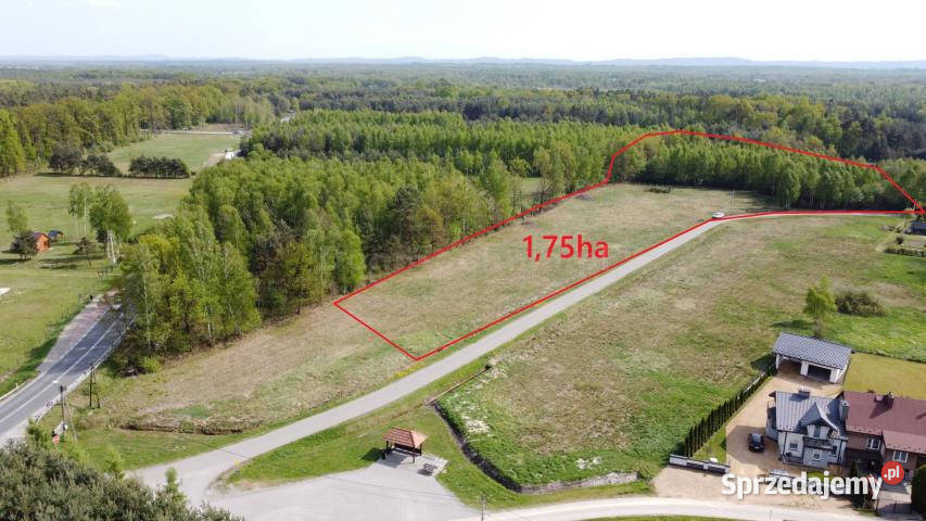 sprzedaży gruntu 17500m2 RudyRysie małopolskie Rudy-Rysie