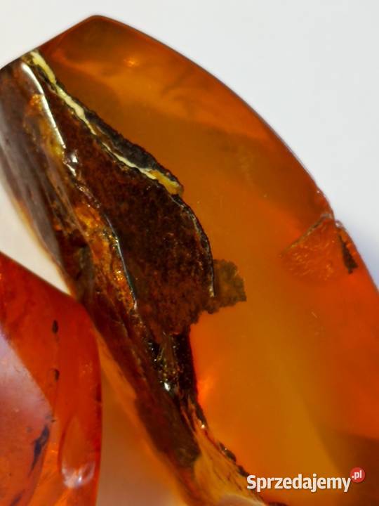 Bursztyn inkluzje
