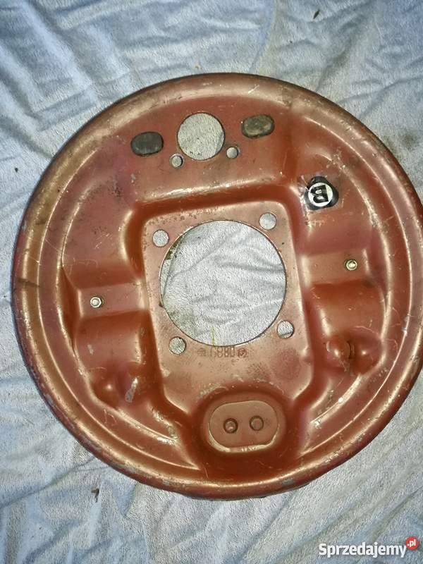 szczeki żuk Brójce