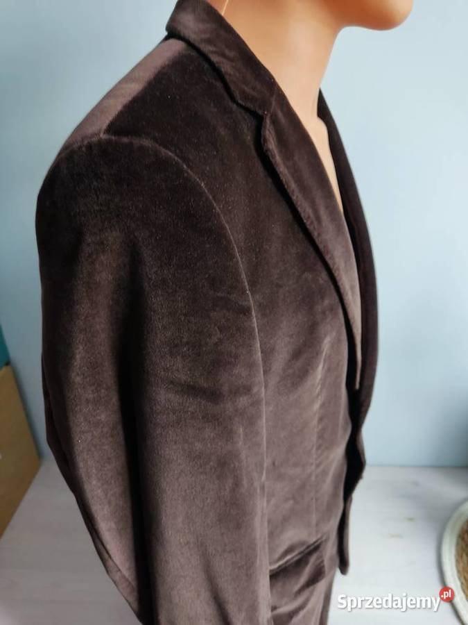 Marynarka męska Hugo Boss opolskie Głuchołazy sprzedam