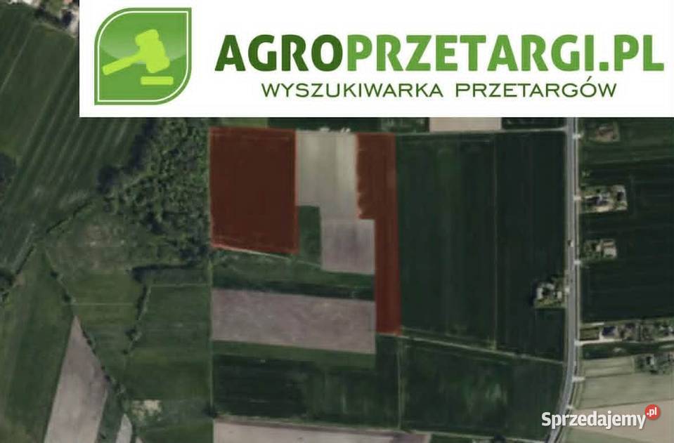 Dzierżawa 896 ha gruntu rolnego Pajęczno