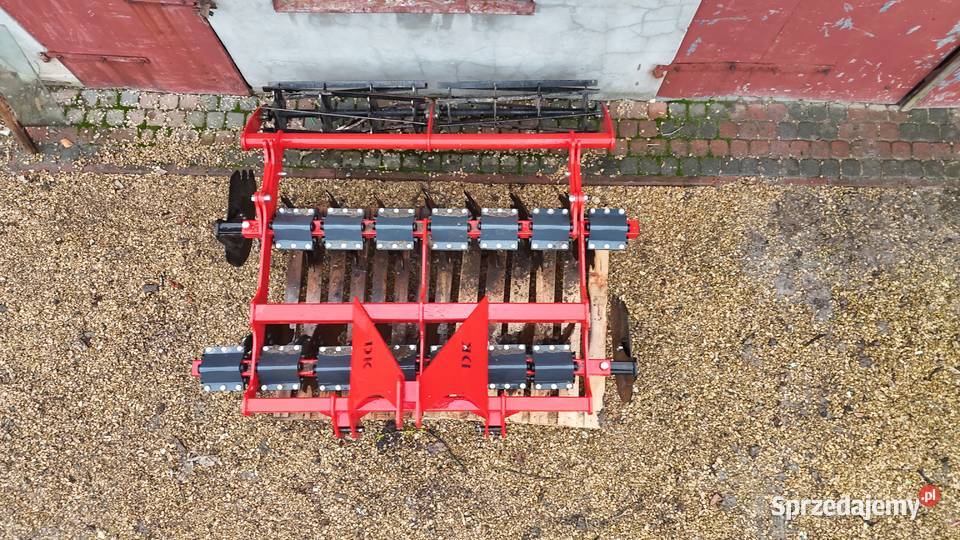 Talerzówka dziekan śląskie Rogaczew