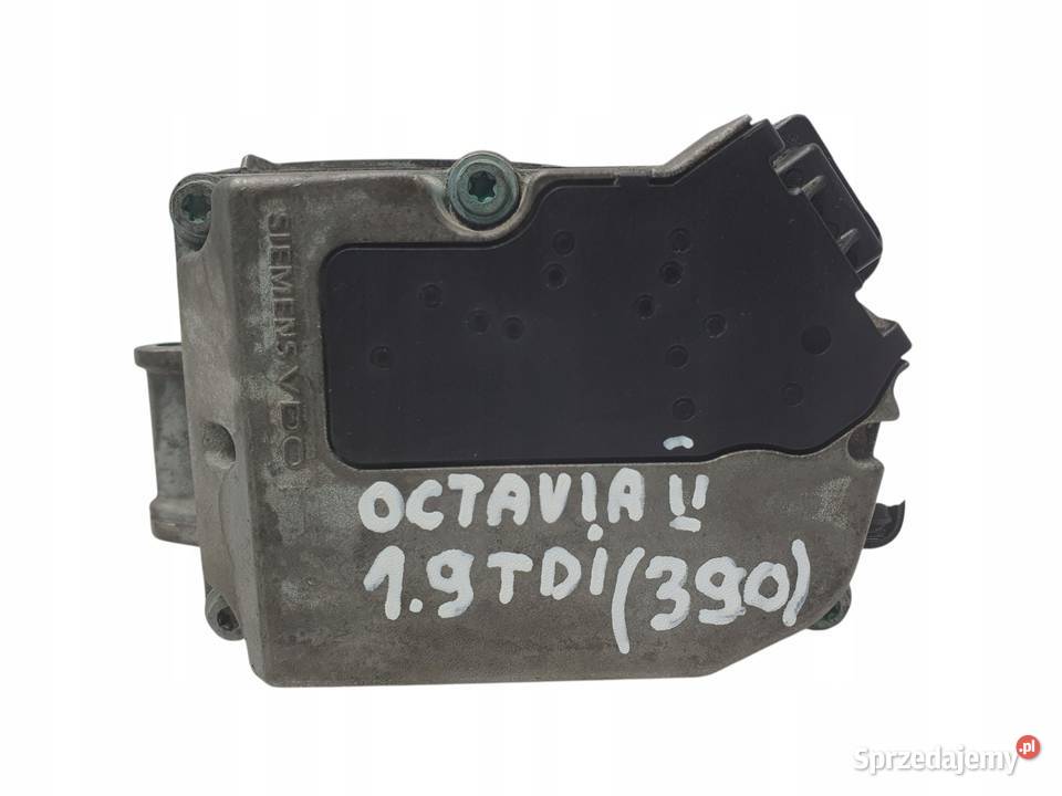 PRZEPUSTNICA Skoda Octavia Audi A3 8P Golf V19 Chełm