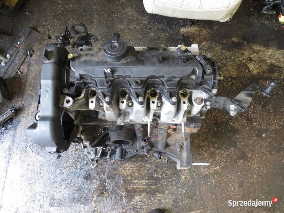 SILNIK QASHQAI J11 15 DCI K9K 646 K9KF646 K9K646 lubelskie