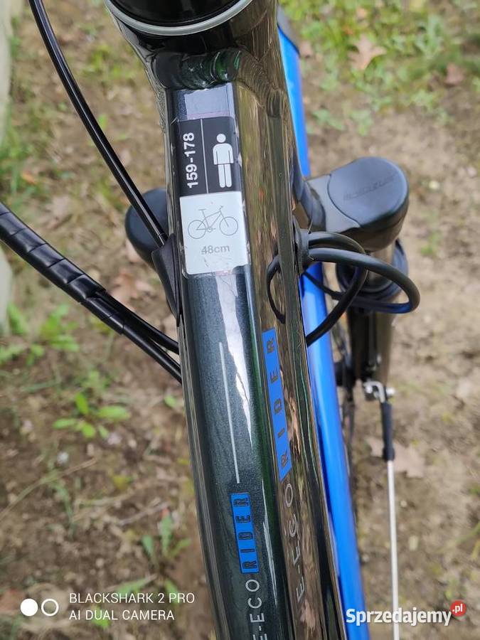 ebike Wheeler EEco Rider Bionx 45h Sport i Wypoczynek