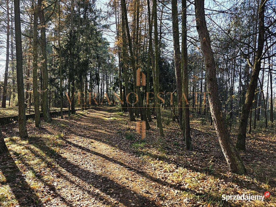 Rezydencja z potencjałem komercyjnym rzeka las Sprzedaż Białobrzeg Bliższy