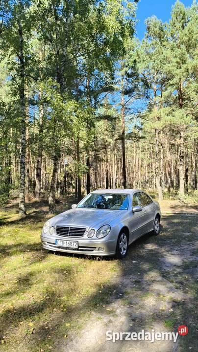 MercedesBenz E Klasa kujawsko-pomorskie Turzno