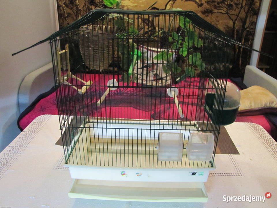 Klatka ptaków kujawsko-pomorskie