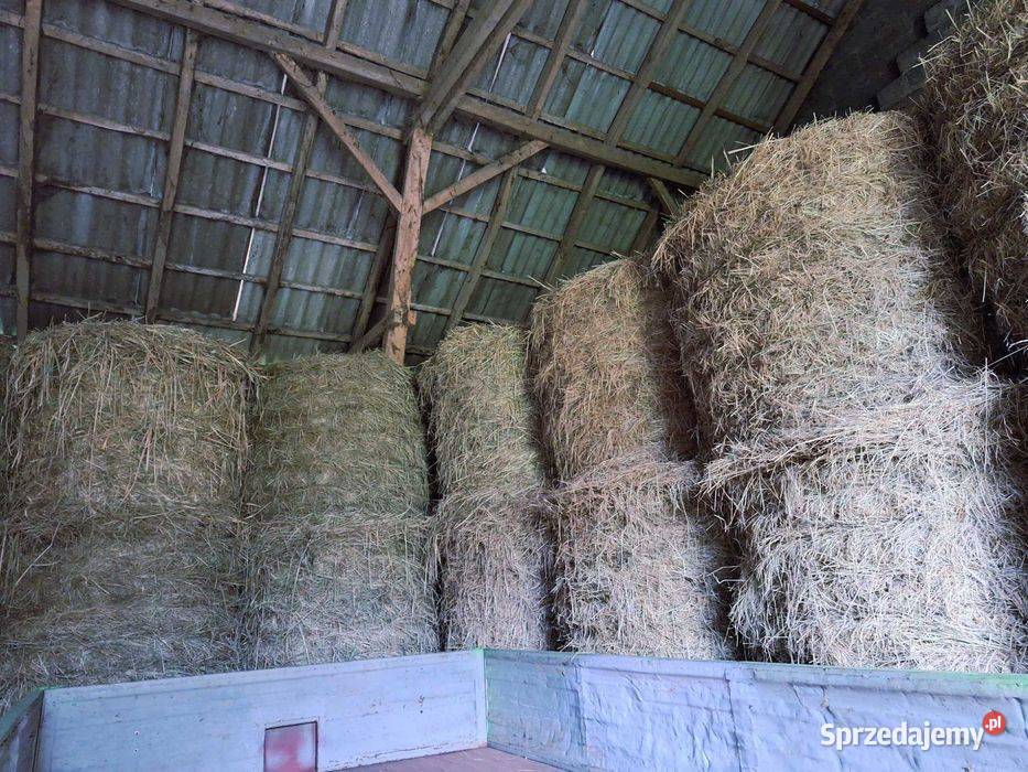 Siano 1 i 2 pokos 120x120 Rzgów