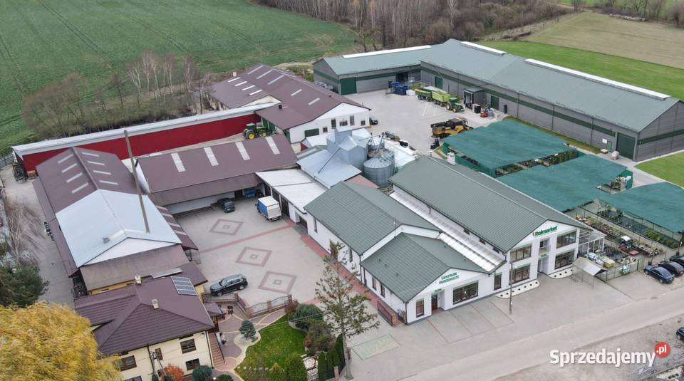 Nasiona Trawa pastewna łąkowa mieszanka Kośna Trawy, słoma