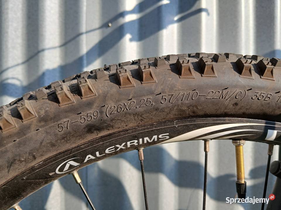 rower mtb Wheeler Buddy 03 sprzedam