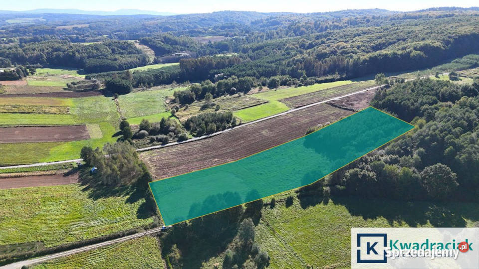 Działka Sieklówka 12304m2 podkarpackie