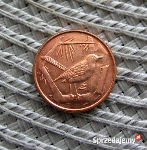 Kajmany 1 Cent 2008r Numizmatyka Kalisz