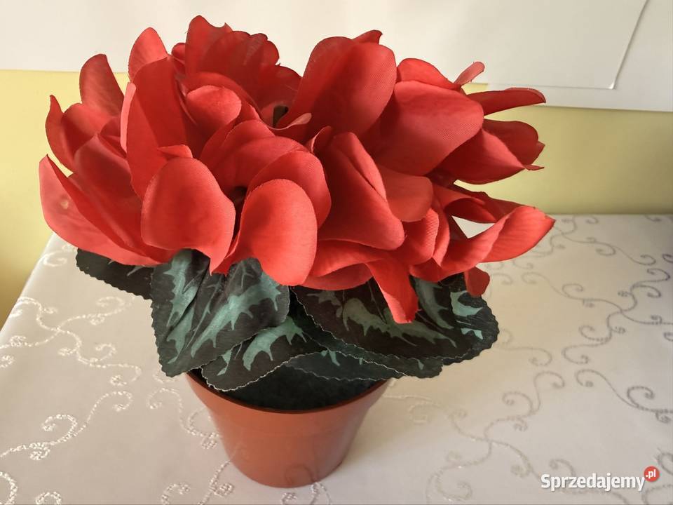 Sztuczny Kwiat Fiołek Alpejski Cyklamen Czerwony Czerwionka-Leszczyny