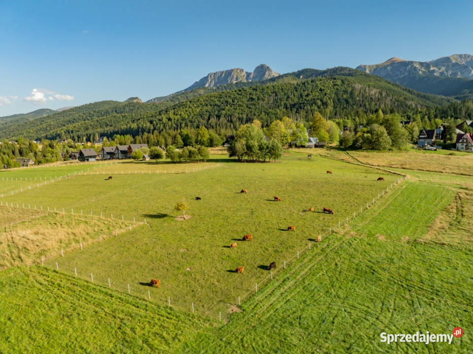 Działka rolna 3115 m Kościelisko sprzedam