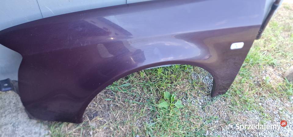 A6 C5 Blotnik lewy polift lubelskie Lubartów