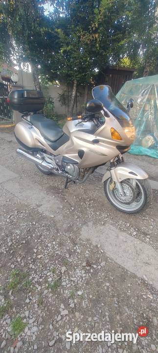 Honda Deaville 650 zarejestrowany w Polsce