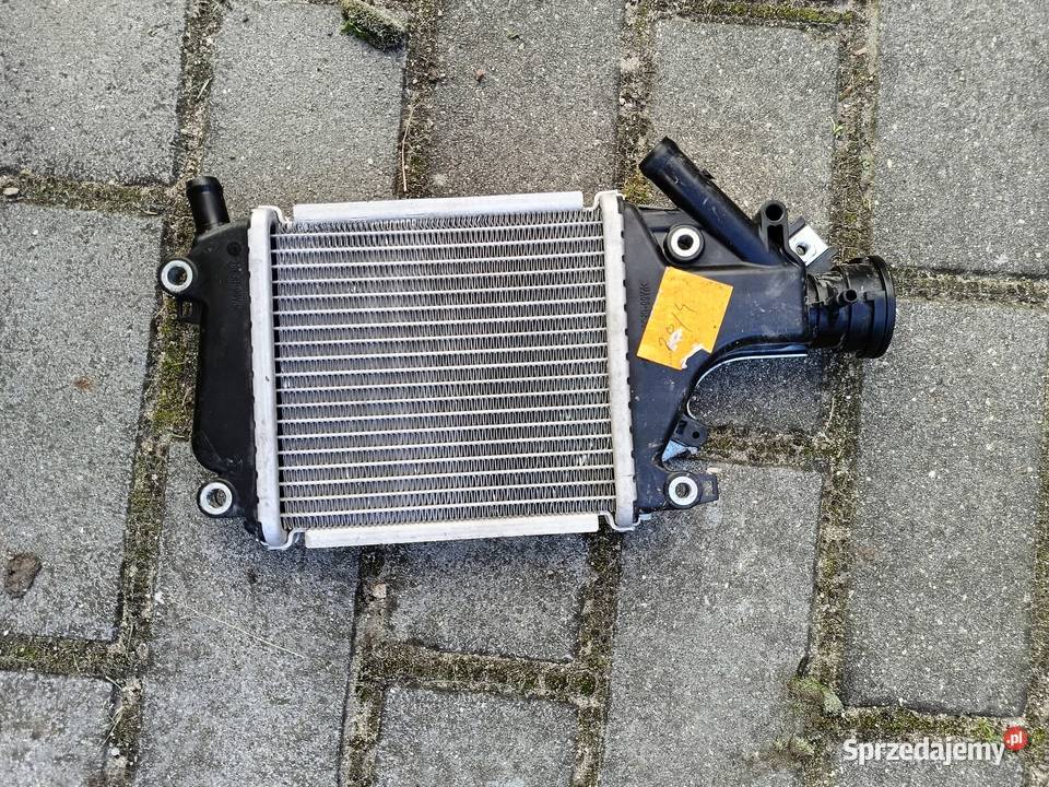Honda Forza 125 chłodnica Gniezno