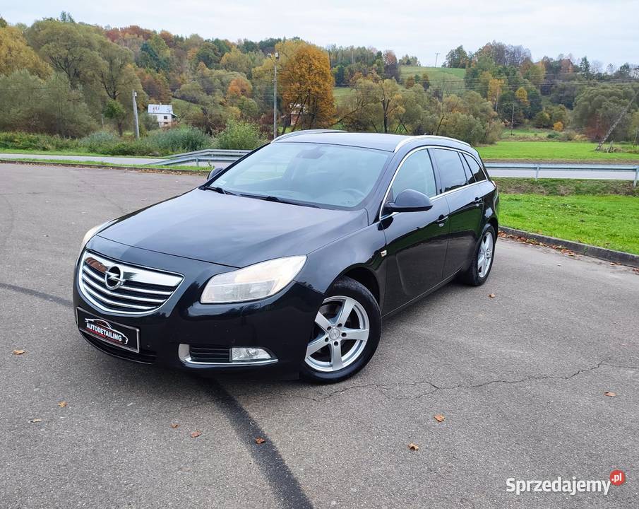 Fajny Opel Insignia kombi 20 CDTI 160 2011 diesel Domaradz