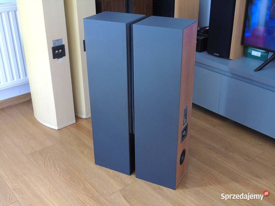 Kolumny Cat 2 x 380 wat łsprawne i ładne DOSTAWA Słuchawki i głośniki