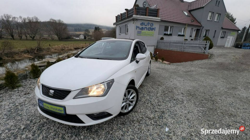 Seat Ibiza GT 12 MPI Lift IV 2008 Kamienna Góra