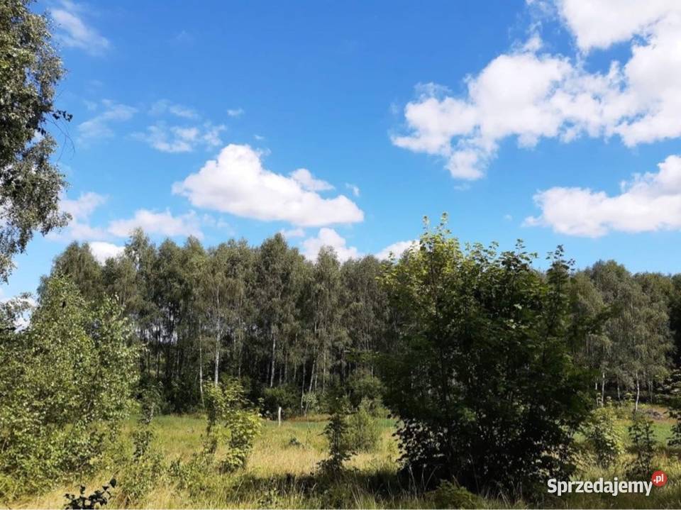 Działka jeziorze droga asfaltowa Możliwość 7670m2 Kusowo