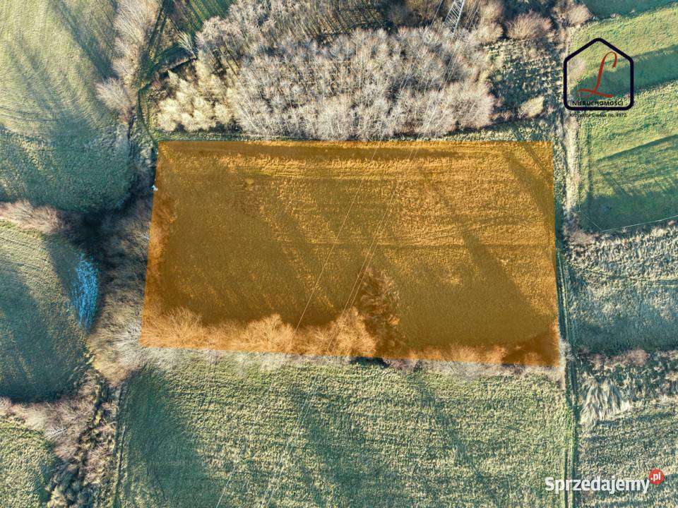 Działka rolna o pow 34 ar Grybów Siołkowa małopolskie