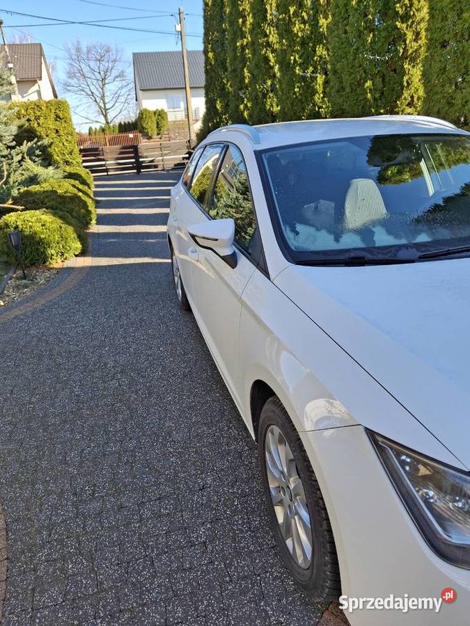 Seat Leon Leon Wincentów sprzedam