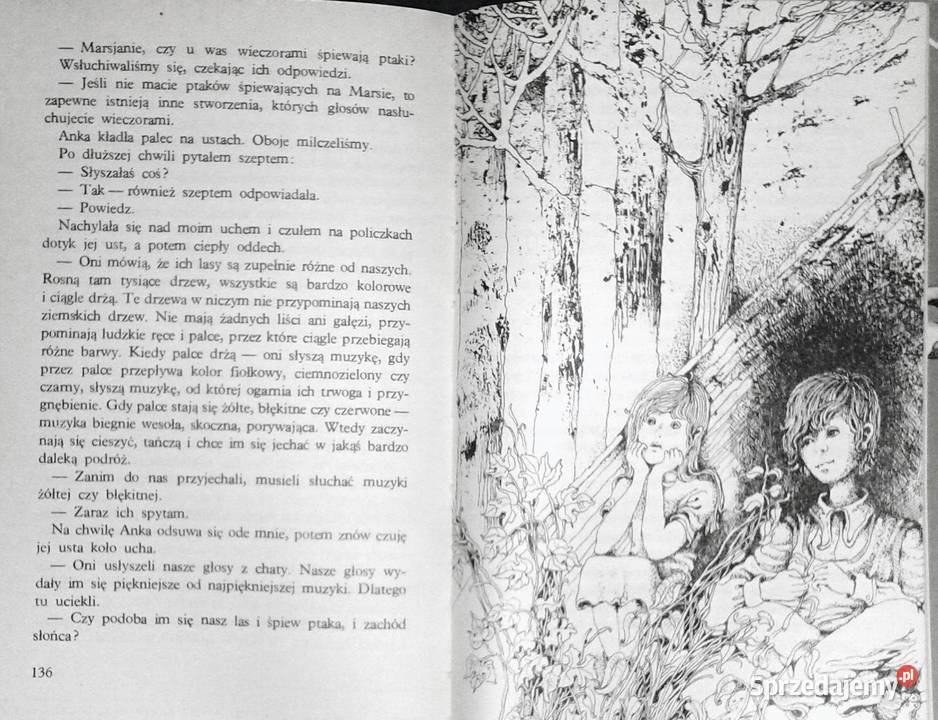 Podróże małego Sindbada Stanisław Kowalewski miękka z obwolutą Chełm