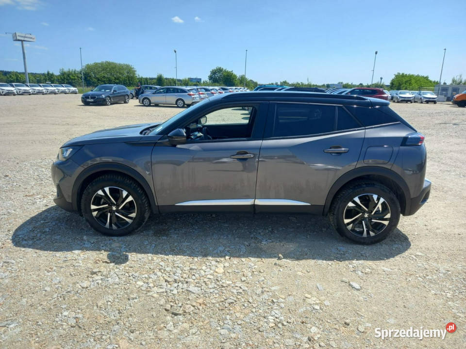 Peugeot 2008 II 2019 szary dolnośląskie