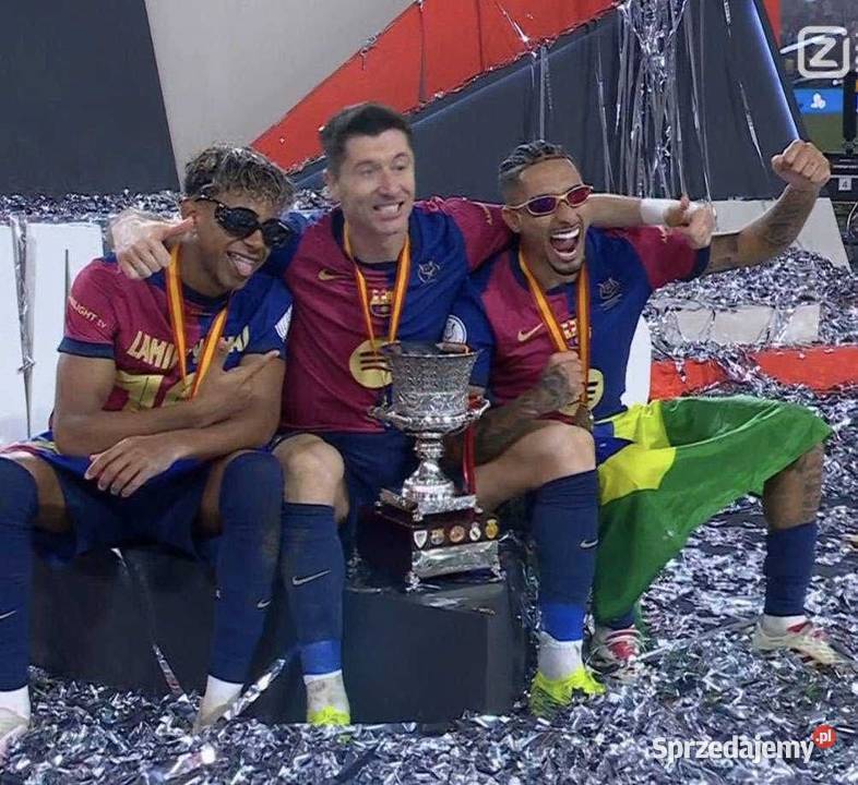 Oferuję pomoc w uzyskaniu dostępu do wybr Bydgoszcz sprzedam