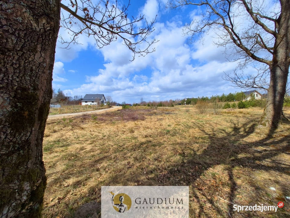 Przystanek NATURA działka pod lasem Kobysewo utwardzona pomorskie