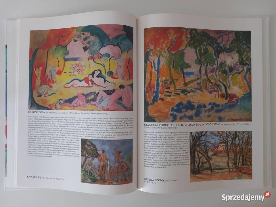 Sztuka Malarstwo Henri Matisse seria Oxford Kraków sprzedam