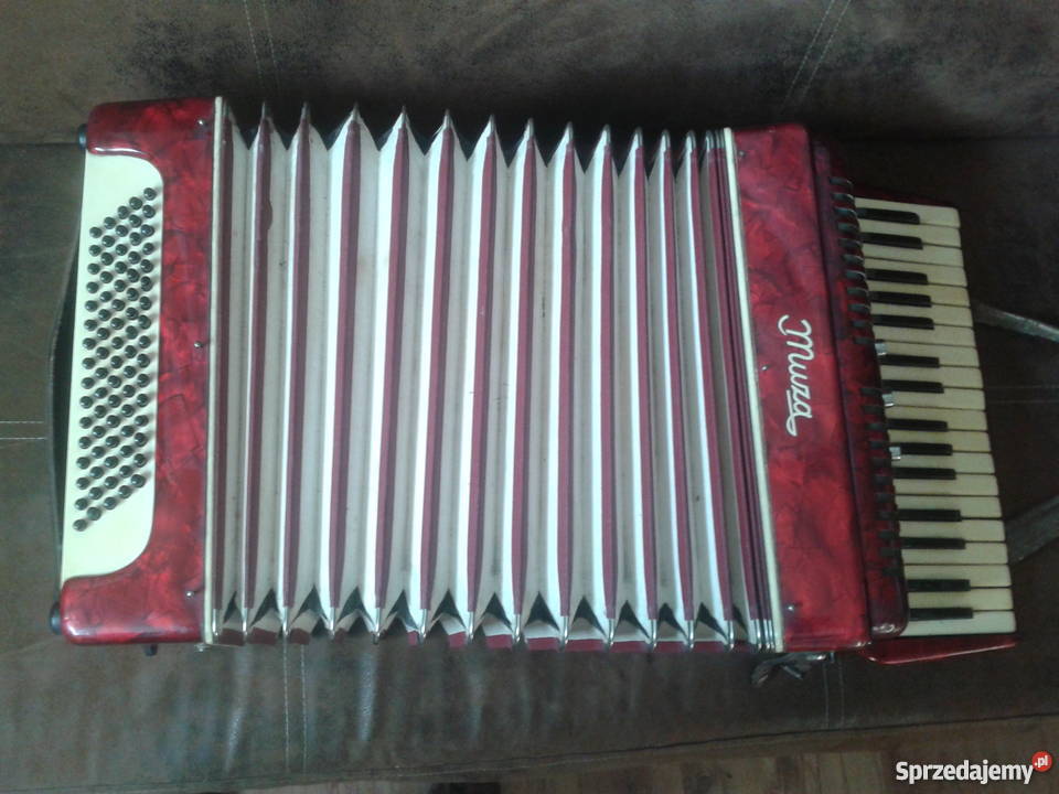 AKORDEON MUZA 80 basów Instrumenty dęte Jaworzno