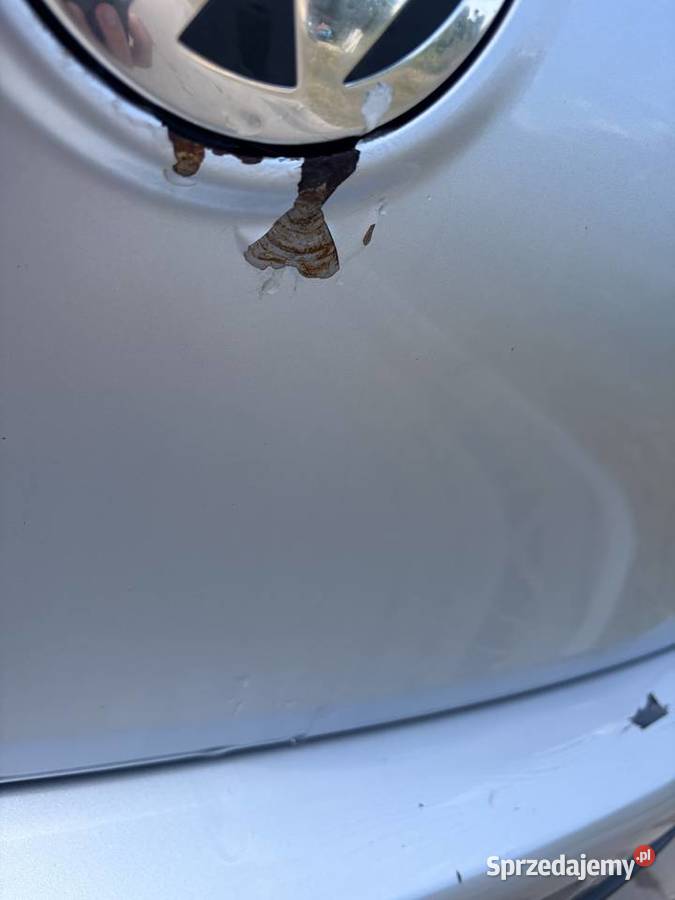 Volkswagen Golf 5 14mpi benzyna Lubsko