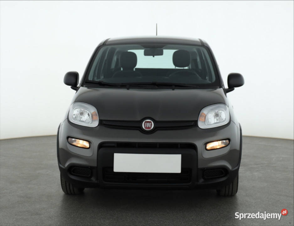 Fiat Panda 10 FireFly ESP Samochody osobowe