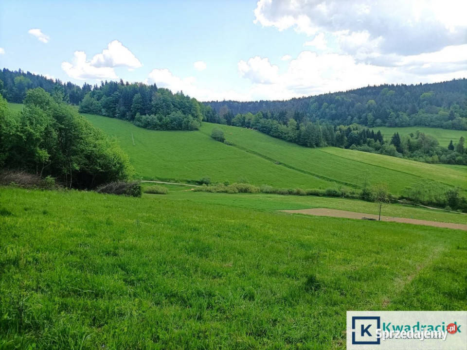 sprzedaży działki Zawóz 4214m2 sprzedam