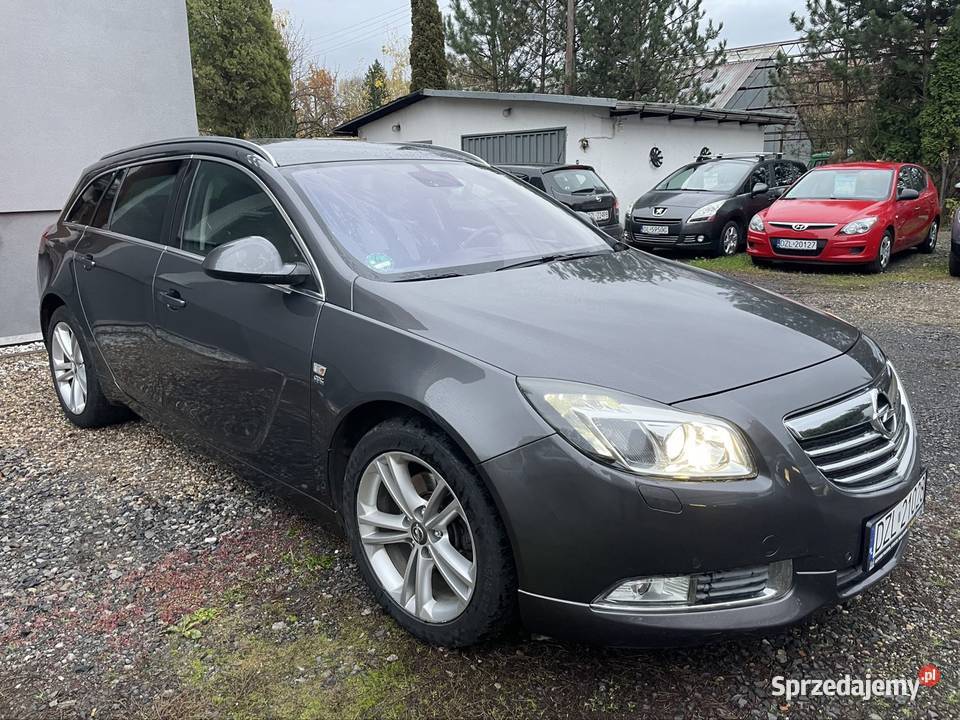 Opel Insygnia 4x4 Bixenony Alu Zarejestrowana Opel Złotoryja