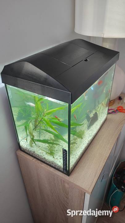 Akwarium 35 litrów Warszawa