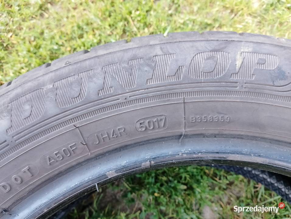 Opony DUNLOP 20555 R16 2sztuki lato Palikije Pierwsze