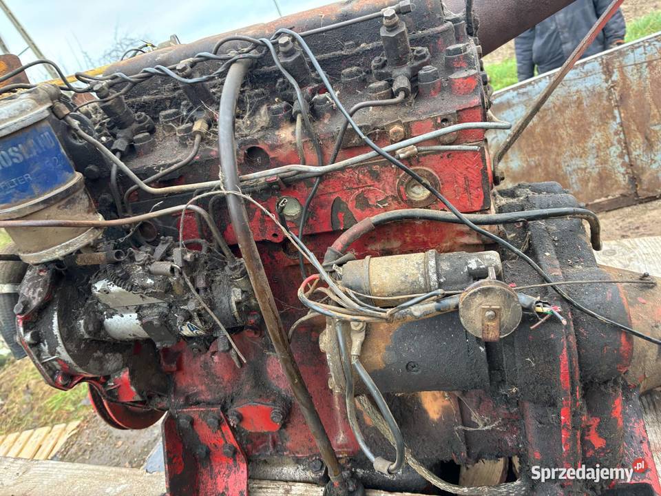 Sprzedam silnik Massey Ferguson czterocylindrowy zachodniopomorskie Kamień Pomorski sprzedam