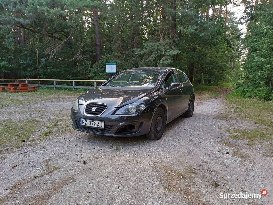 Seat Leona 2 Dulcza Wielka